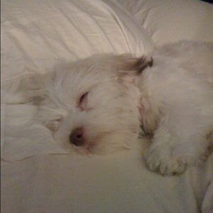 Meet your Posher, Cassandra